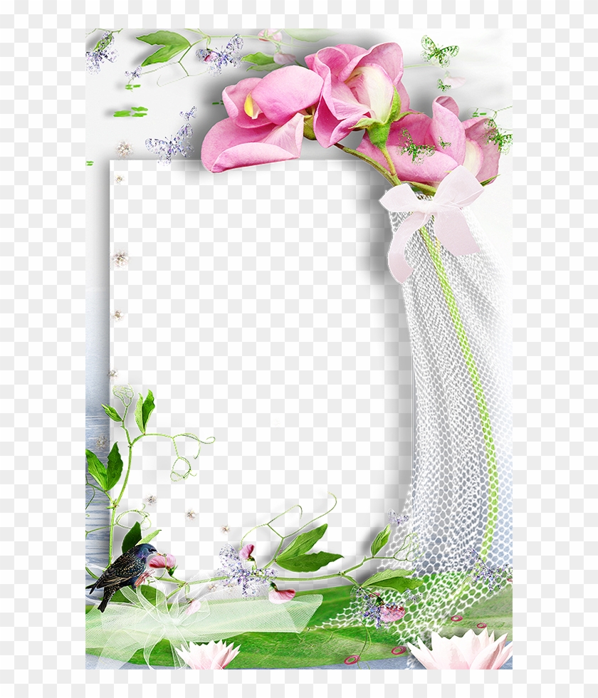 Find This Pin And More On Frames Ll - Picture Frame #938421