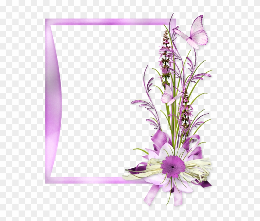 Sympathy Cards, Flower Backgrounds, Belles Choses, - Dendrobium - Free  Transparent PNG Clipart Images Download