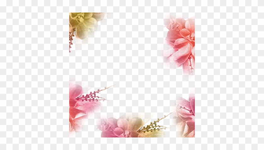 Summer Background Vector Png Zapz Yellow Orange Pink - Summer Flower Frame Png #938479