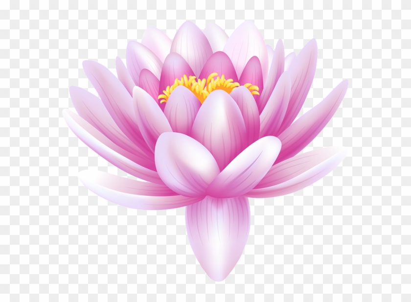 Hand Drawing Water Lily, Lotus, Flower - Water Lily Flower Png #938491