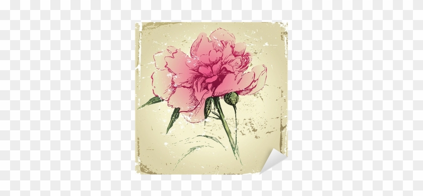 Retro-styled Hand Drawn Peony Flower Sticker • Pixers® - Peony #938516