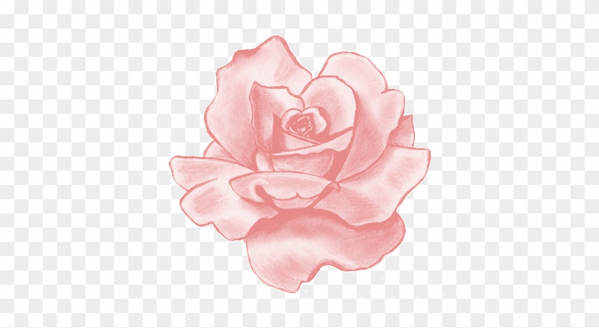 Download - Beautiful Flower Drawing #938520