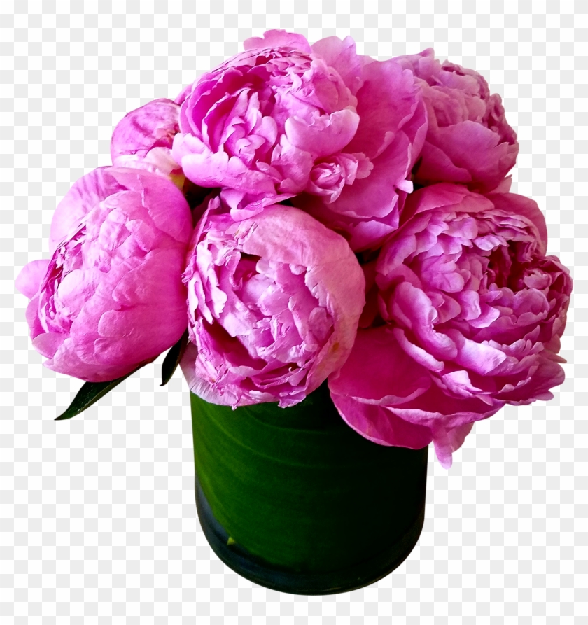 Hot Peonies - Flowers Peonies Happy Birthday #938553