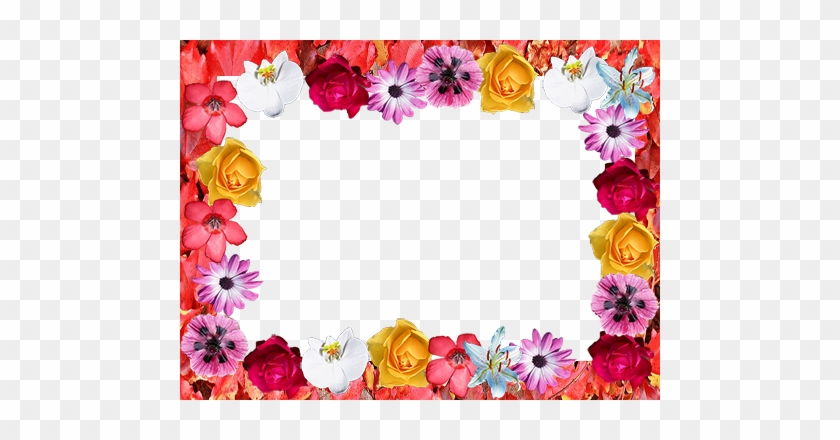 Frame Of Pretty Hand Drawn Flowers Vector Free - Garden Roses #938581