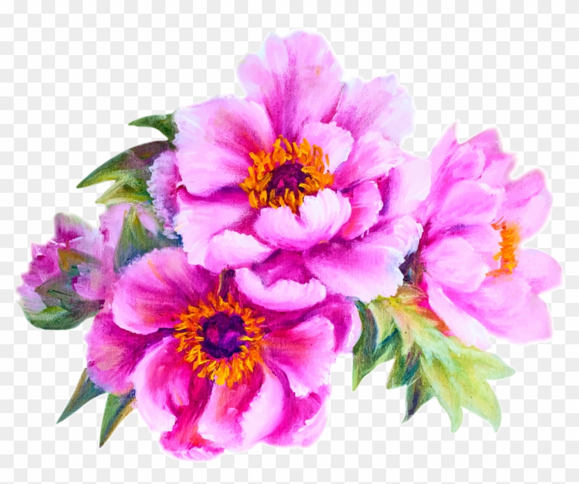 Flower Peony Stock Photography Illustration - Life Is About Balance Good Morning #938595
