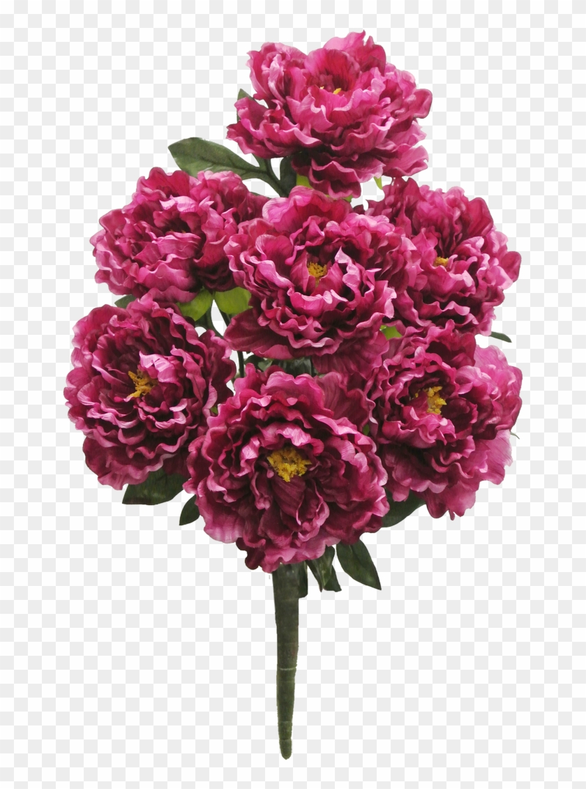 Beauty Peony Bush X7 Sale Item - Love Flower #938596