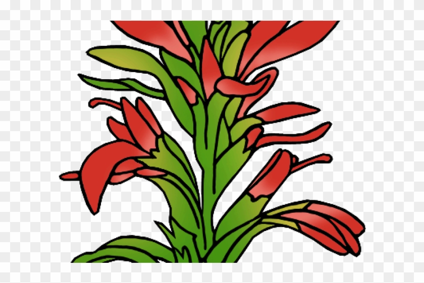 Indian Paintbrush Cliparts - Indian Paintbrush Cliparts #938655