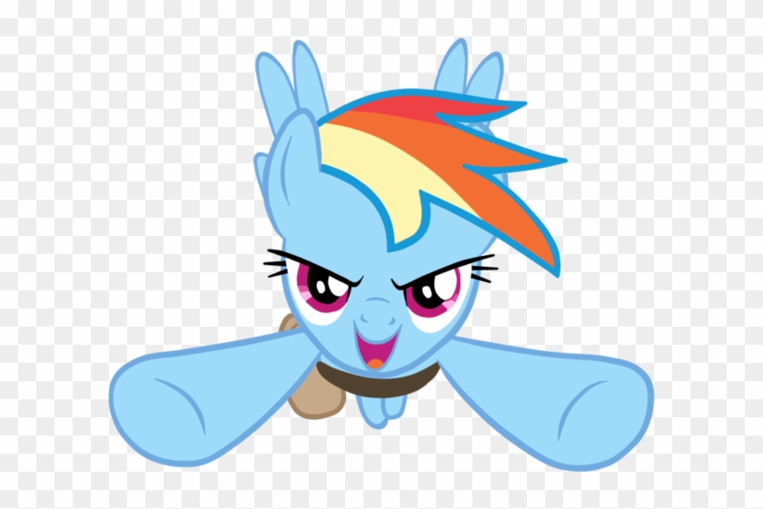 Rainbow Dash Flying Front Vector By Er49563 - Cartoon #939187