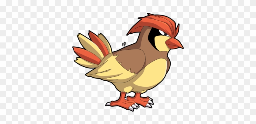 Raticate Evolution Download - Pokemon Bird Hair Style #939471