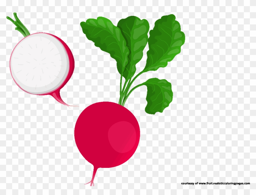 Radish Vegetable Food Beetroot Clip Art - Radish Clipart #939535