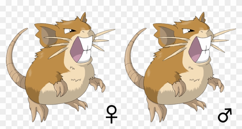 Raticate By Million Mons Project - Cat Yawns #939563