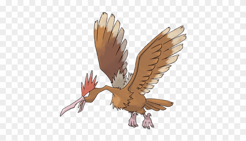 All That I Really Used Champ For This Time Was To Baet - Pokemon Spearow #939623