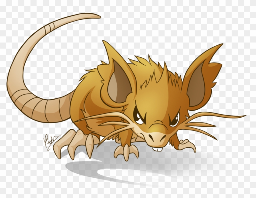Keywords Raticate Wallpaper And Tags - Html #939631
