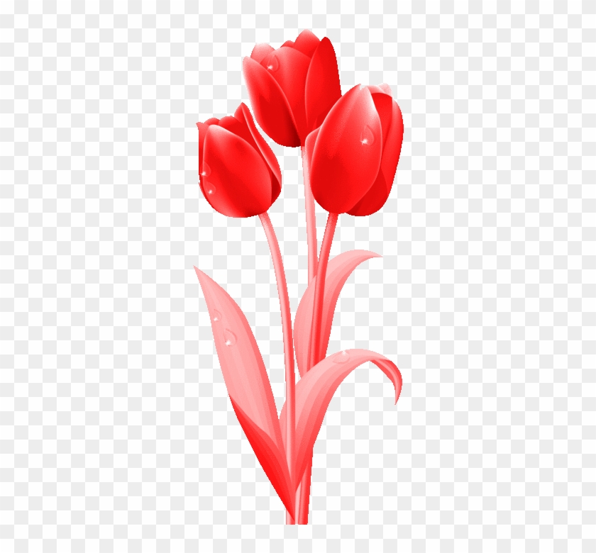 Изображение Для Плейкаста - Good Morning Images Flowers Tulip #940076