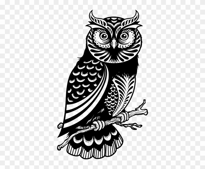 Vinilo Decorativo Dibujo Búho En Rama - Owl Illustration #940087