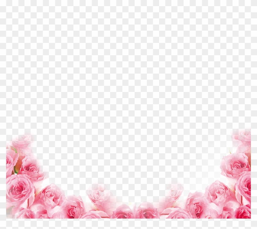 Pink Beach Rose Petal - Pink Rose Border Png #940114