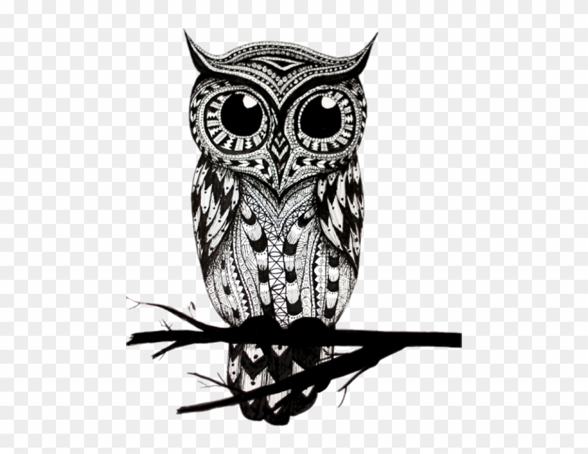 Owl Drawing Black And White #940157