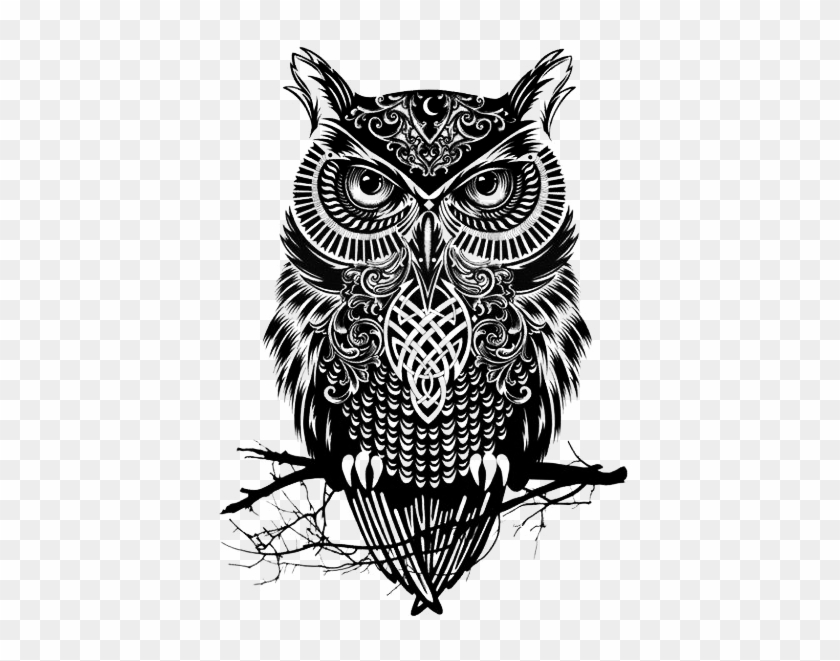 41 Images About Owls On We Heart It - Black And White Owl Drawing #940160