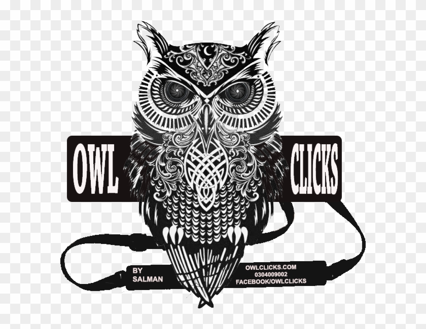 Feathers Gifs Wifflegif - Rachel Caldwell Canvas Wall Art - Warrior Owl #940168