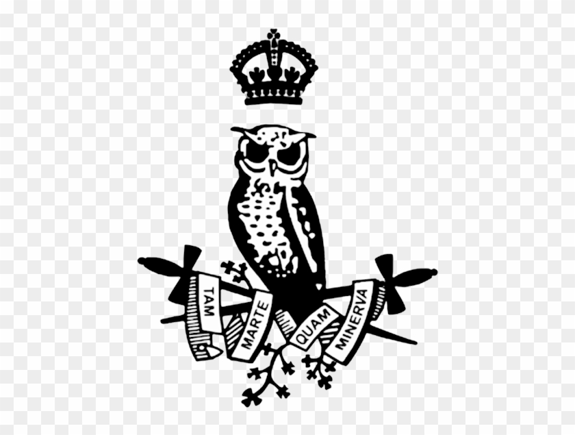 Drawn Owl Minerva - Owl With Sword #940176