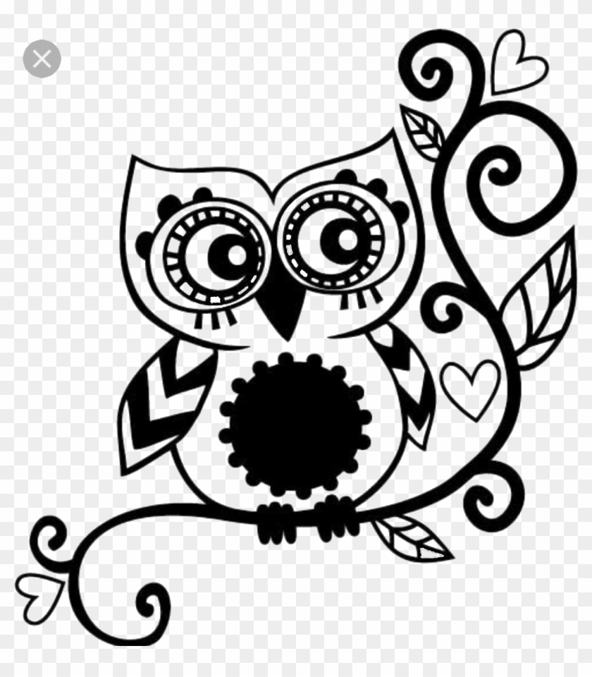 Find This Pin And More On Quotes/shapes By Dsign7 - Owl Decal #940186