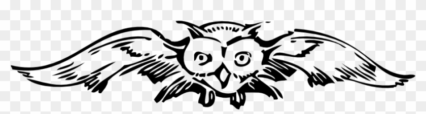 Front View Owl Black White Line Art 999px 43 - Owl Post Harry Potter #940202