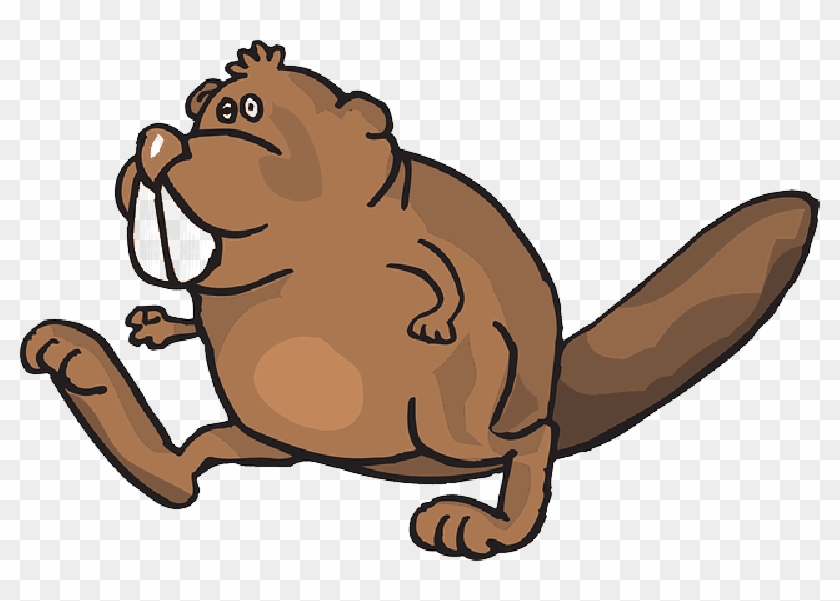 Going, Cartoon, Beaver, Art, Walking, Animal, Movement - Beaver Transparent #940242