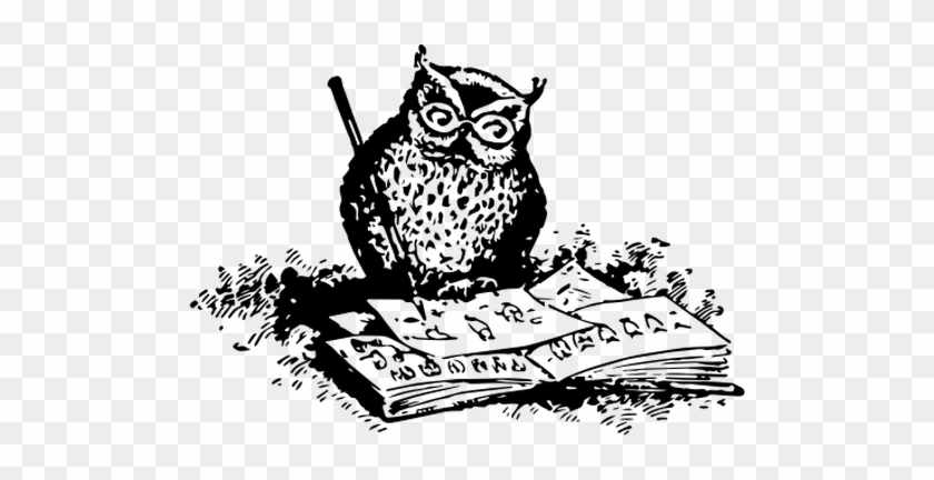 Owl Illustrating - Owl Writing Book #940287