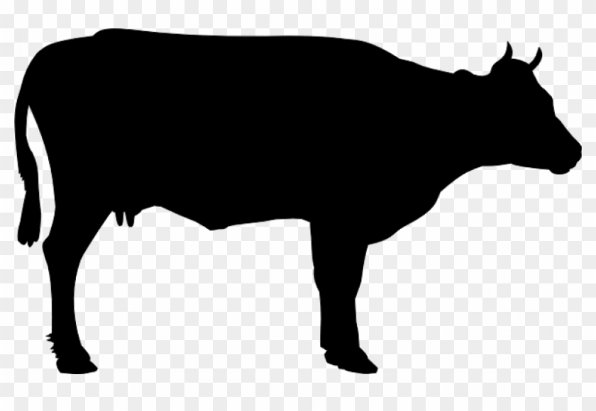 Simple Silhouette Vector Graphics Of A Cow - Cow Silhouette Png #940435
