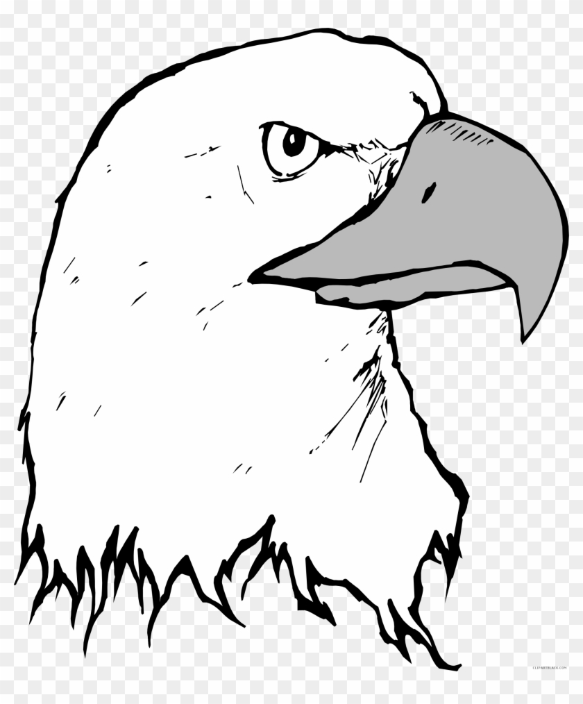 Eagle Animal Free Black White Clipart Images Clipartblack - Cartoon Eagle Head #940529