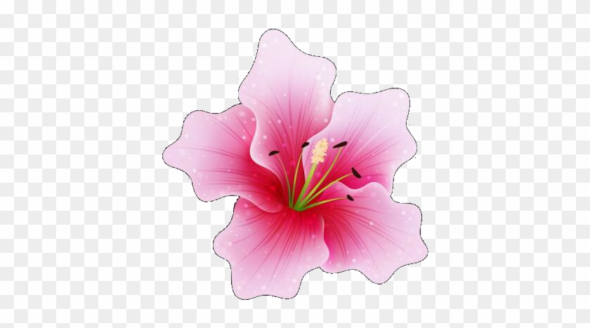 Díszek "png" - Pink Flower Png #940837