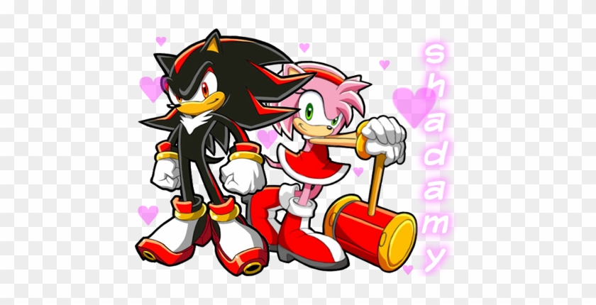 Shadow The Hedgehog And Amy Rose In Love Gallery For - Chronicles The Dark Brotherhood Amy #940849
