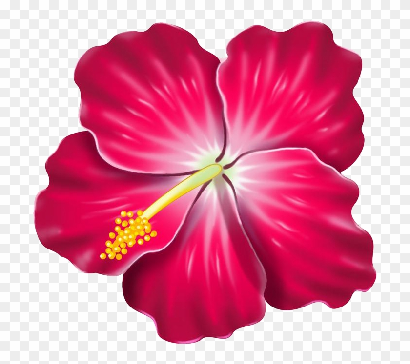 Red Hibiscus - Hawaiian Flower Clip Art #940976