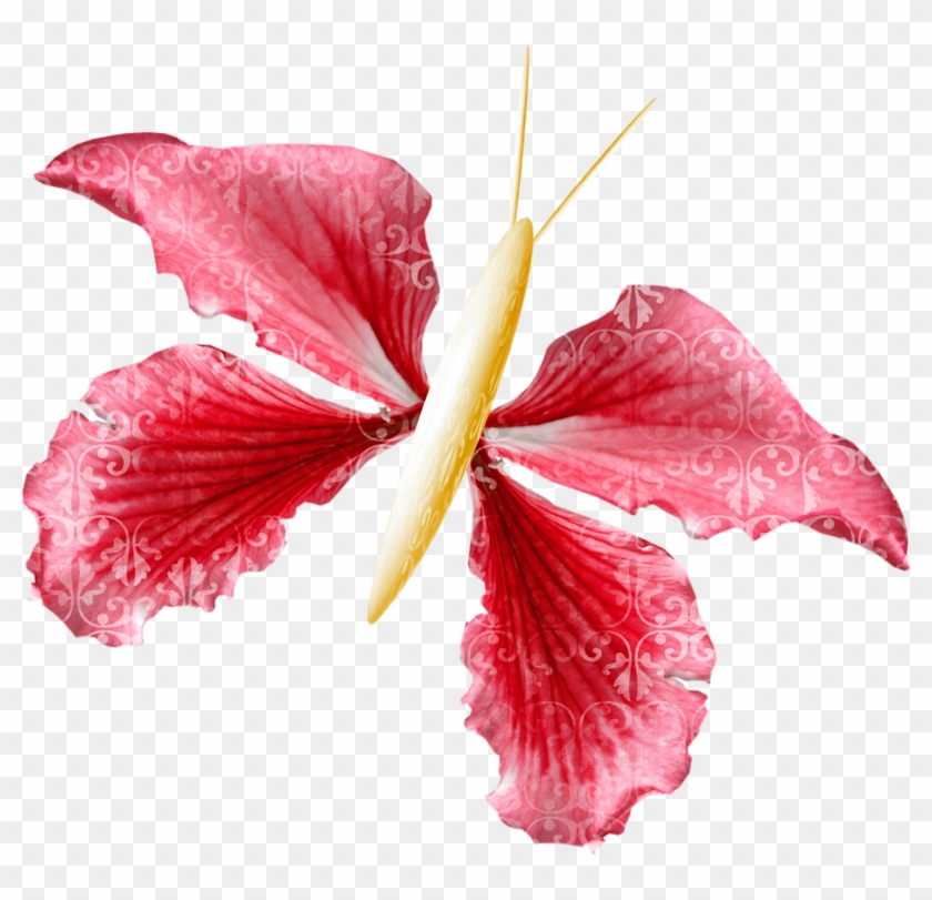 Png Çiçek Resimleri - Hawaiian Hibiscus #941015
