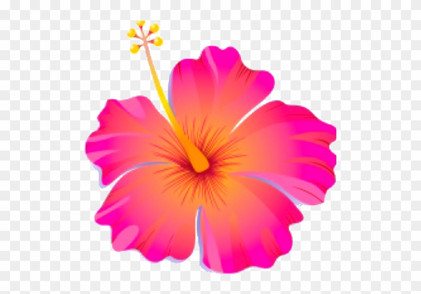 Pink Hibiscus Flower Clipart #941123