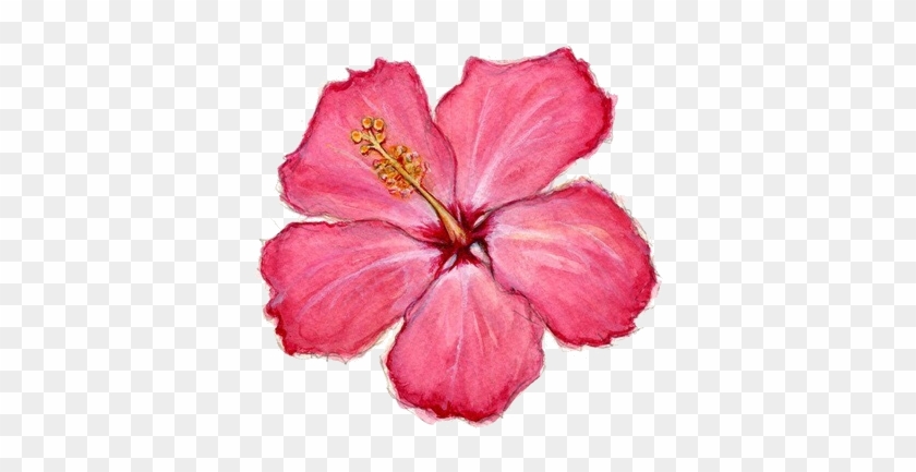 Hawaiian Hibiscus #941132