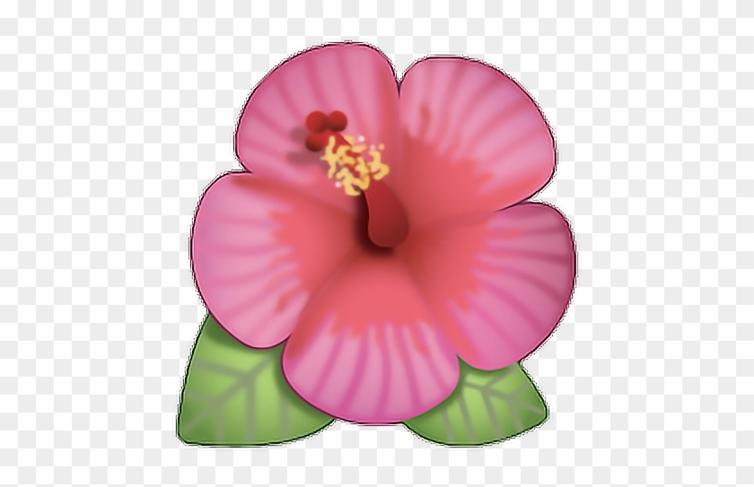 Flor Emoji Rosa Ed Cute Png Flower Cool Love - Flower Emoji With Transparent Background #941134