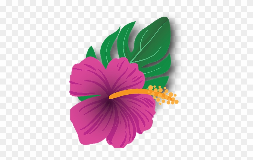Contact Us - Hawaiian Hibiscus #941162