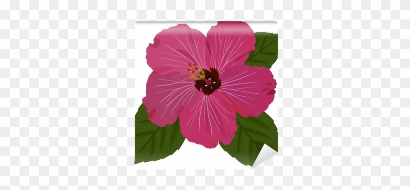 Hawaiian Hibiscus #941168