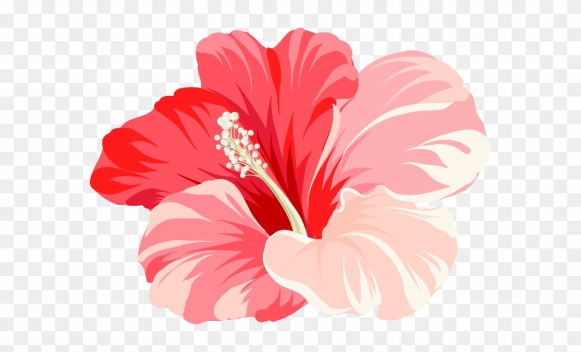 Match Me With A Travel Agent - Chinese Hibiscus #941198