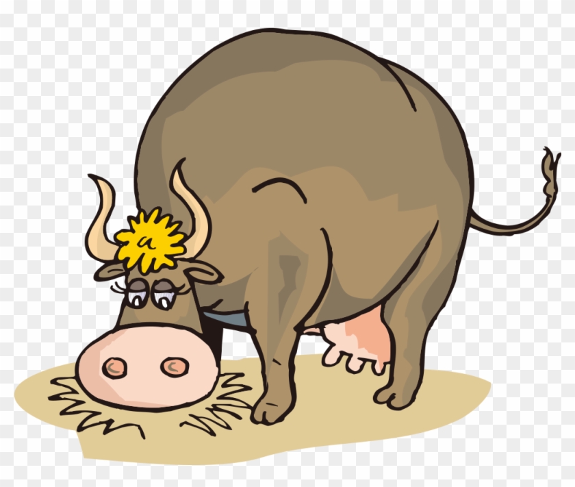 Jersey Cattle Beef Cattle Milk Hay Clip Art - Beef Cartoon #941216
