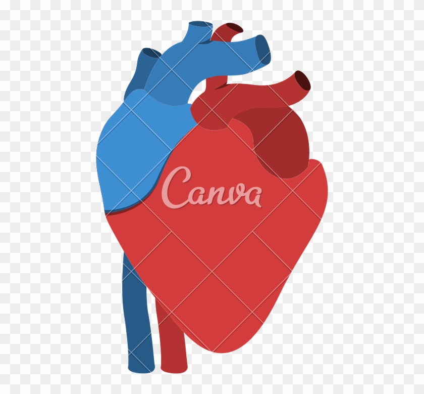 Human Heart Anatomy Isolated Icon Design - Use Canva Like A Pro #941349