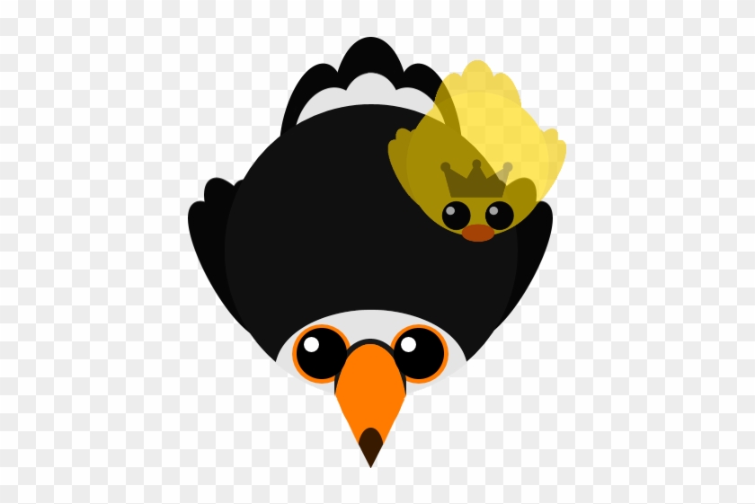 Toucan - Cartoon #941560