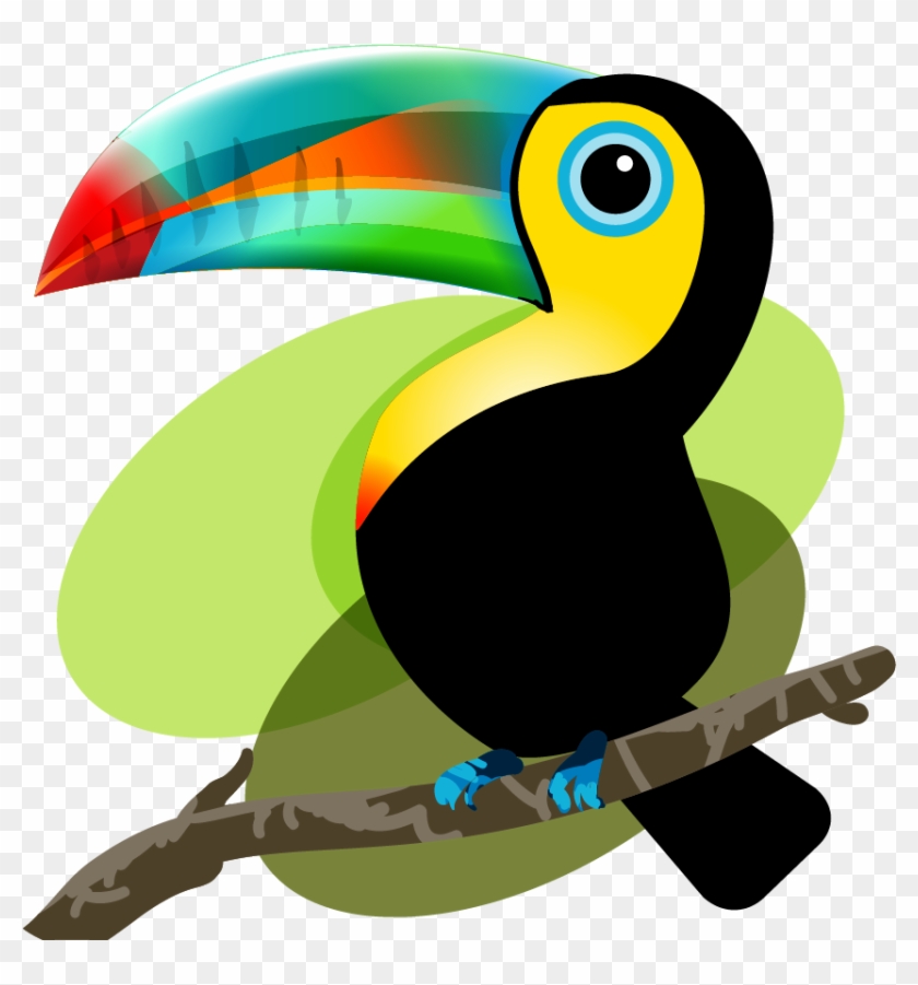 Iquitos Bird Baby Toucan - Tucan Dibujo Png - Free Transparent PNG Clipart  Images Download
