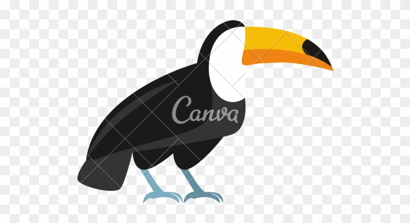 Cartoon Toucan - Use Canva Like A Pro #941620