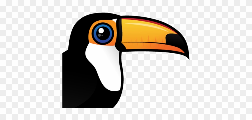 About The Toco Toucan - Cartoon #941623