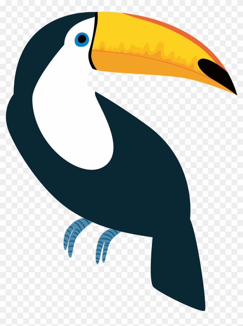 Toucan Vector - Toucan Bird Vector #941636