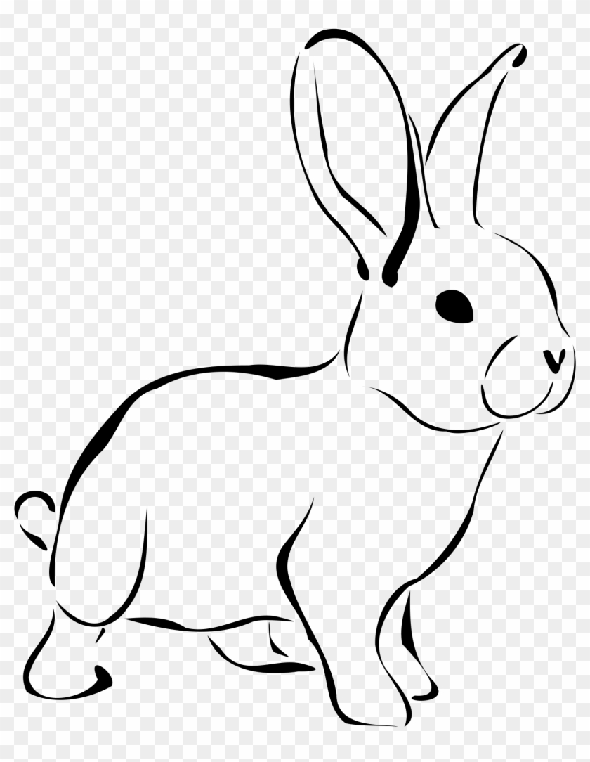 Black And White Rabbit Clipart - Rabbit Cartoon Black And White #941705