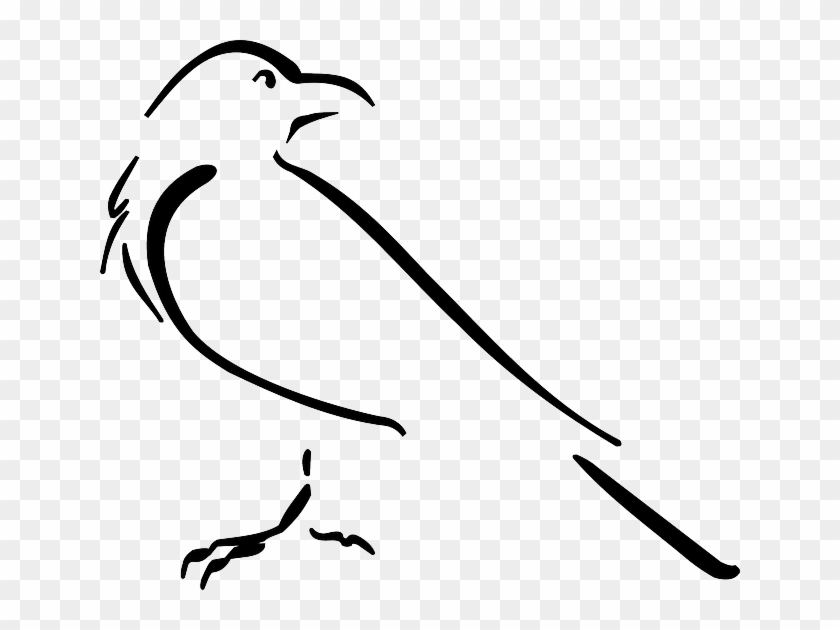 Free Image On Pixabay Crow Bird Outline Drawing Crows - Crow Outline #941725
