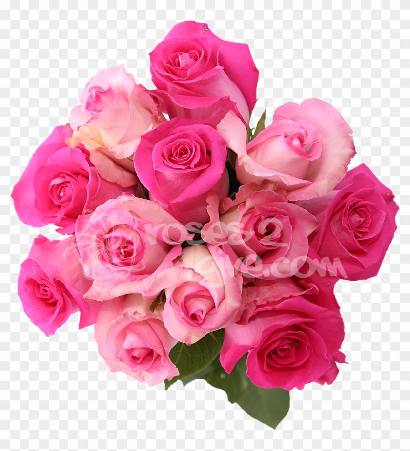 View Similar Products > - Red And Pink Rose Combination #942171